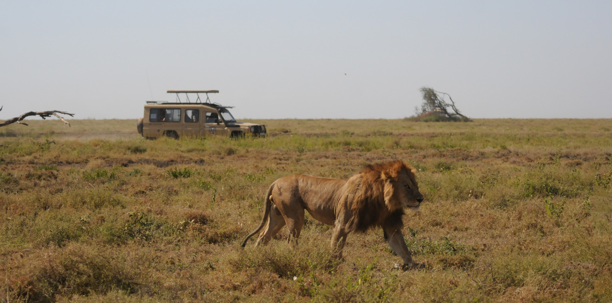 Explore the Wild and Wondrous: 9-Day Tanzania & Zanzibar Safari Adventure