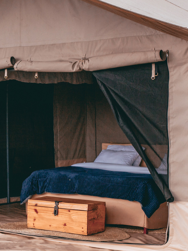 beds