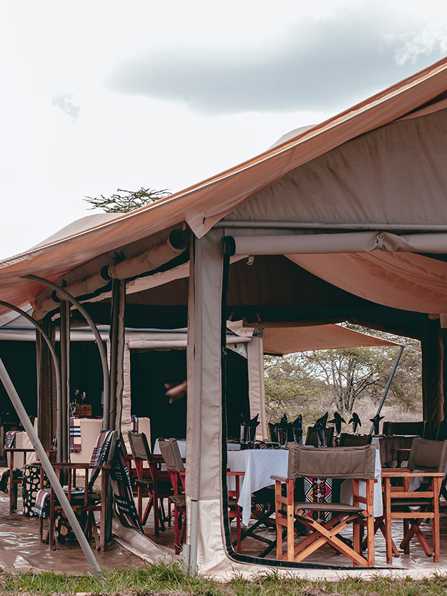 tents in Sarengeti